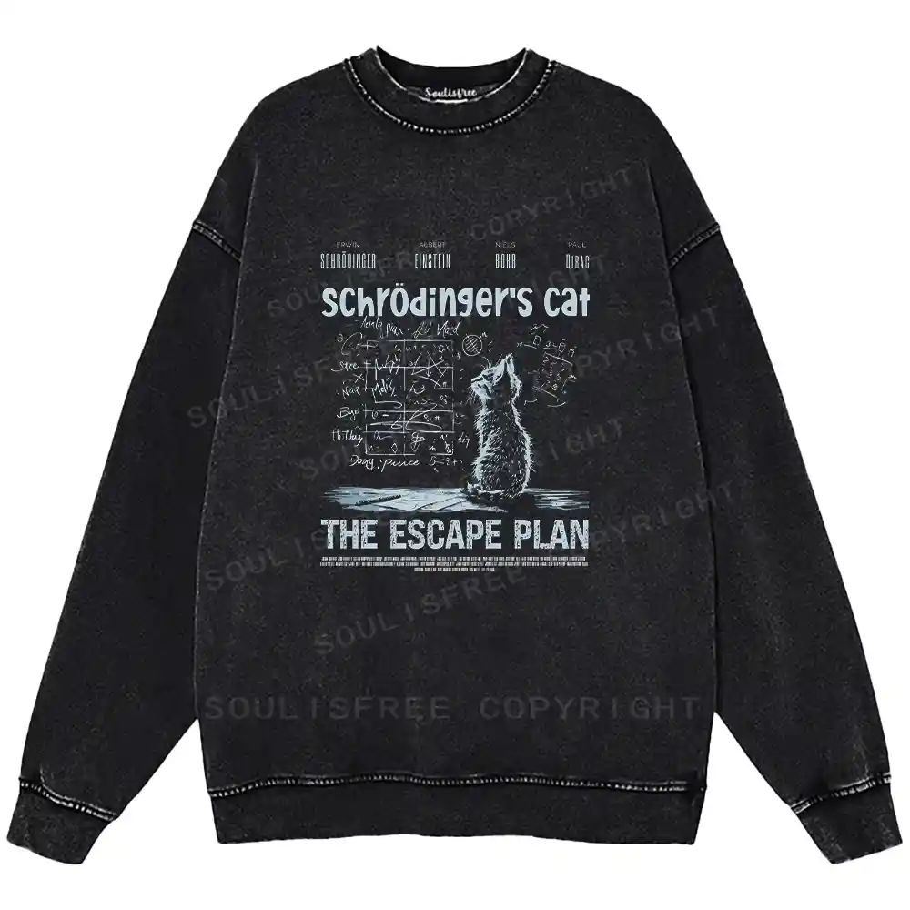 Careful Planning Washed Sweatshirts