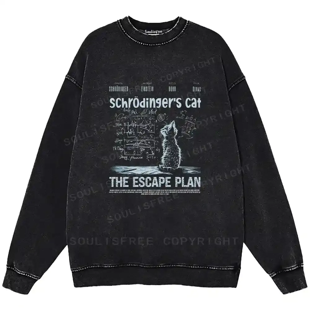 Careful Planning Washed Sweatshirts