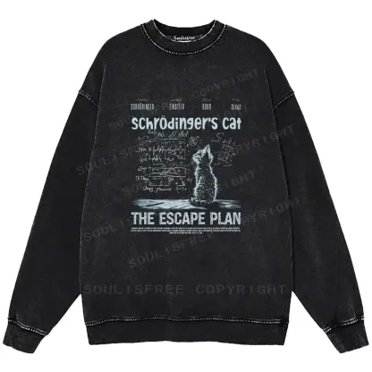 Careful Planning Washed Sweatshirts