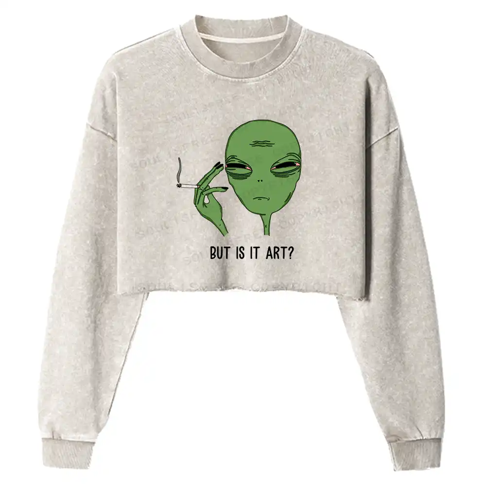 Is It Art Washed Cropped Sweatshirt