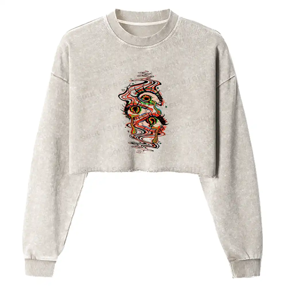 Dream Eyes Washed Cropped Sweatshirt