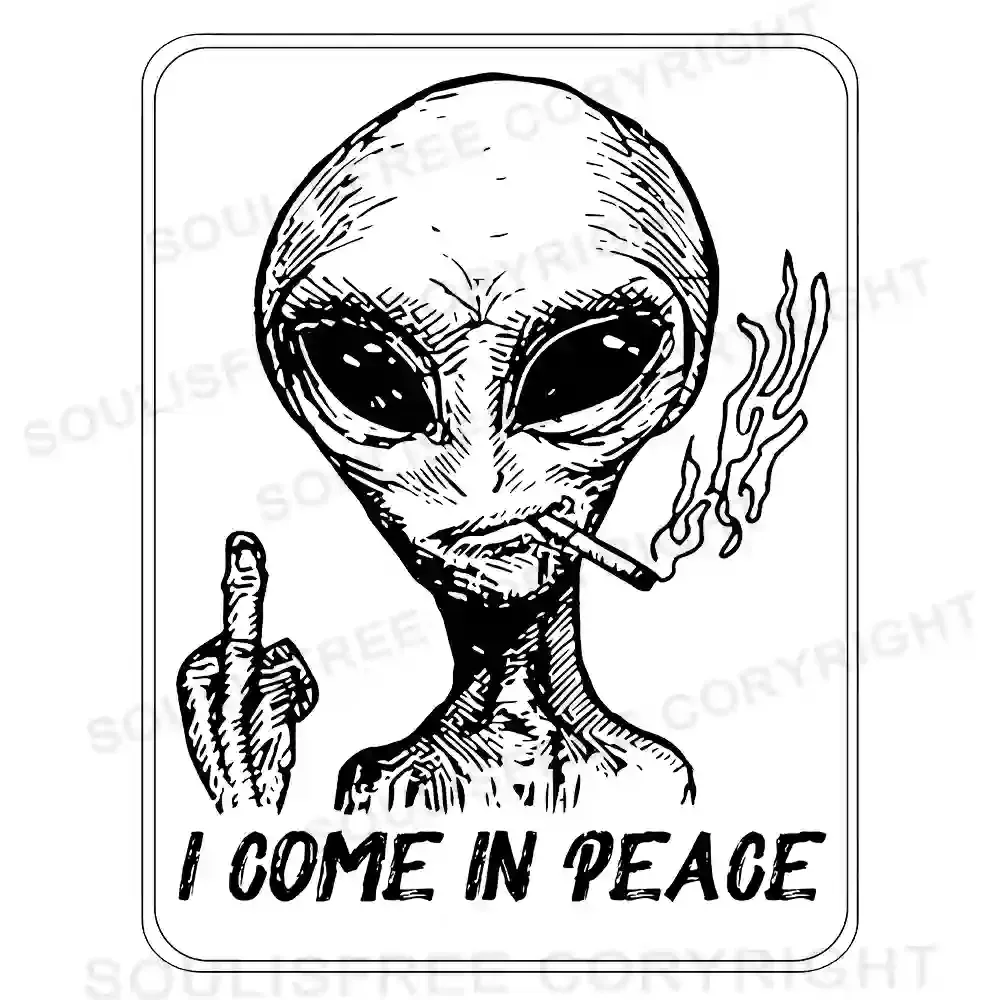 I Come In Peace Asymmetrical Top With Side Drawstring