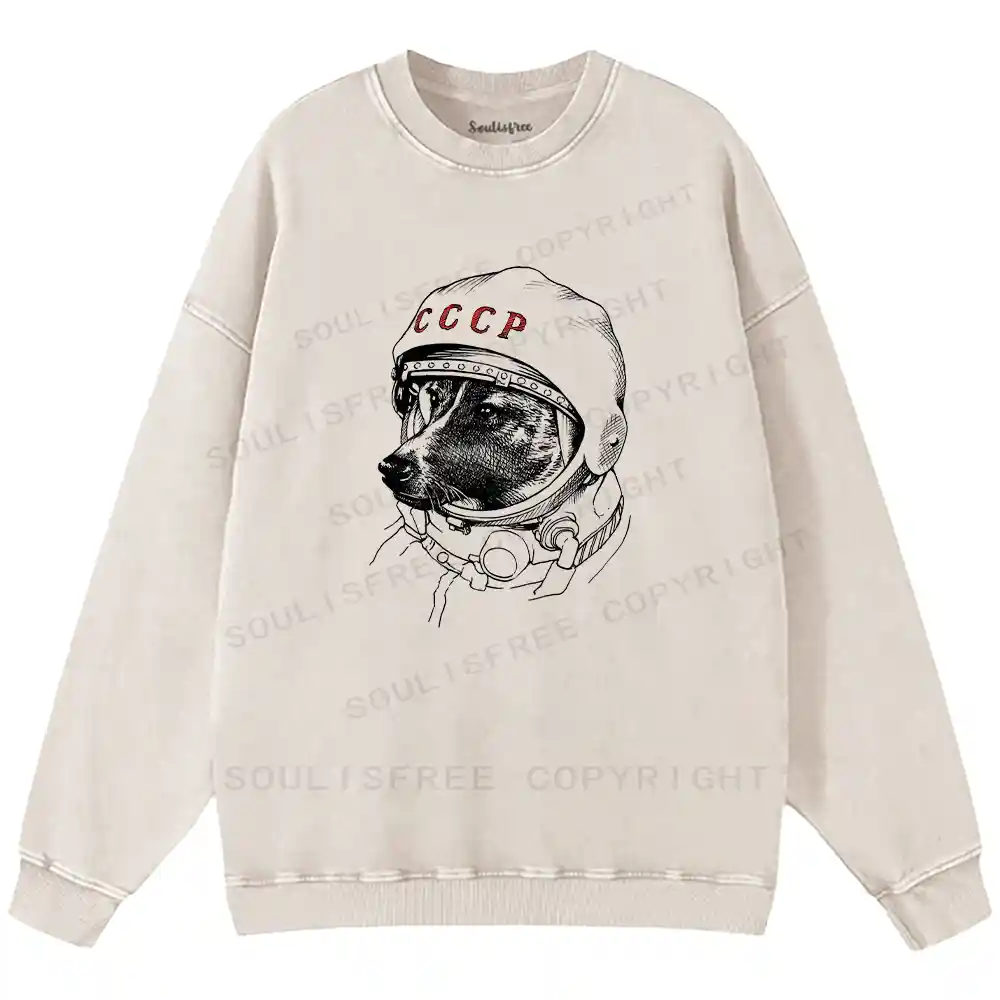 Astro Dog Washed Sweatshirts