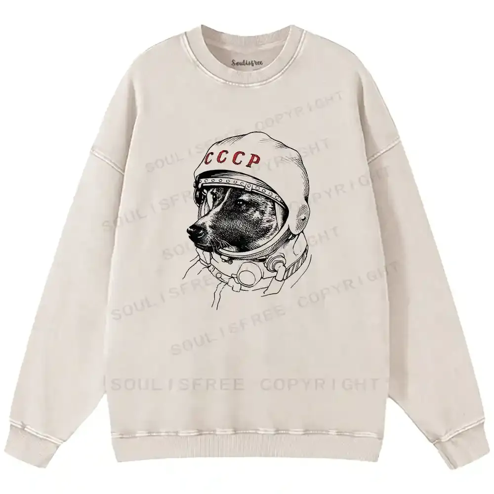 Astro Dog Washed Sweatshirts