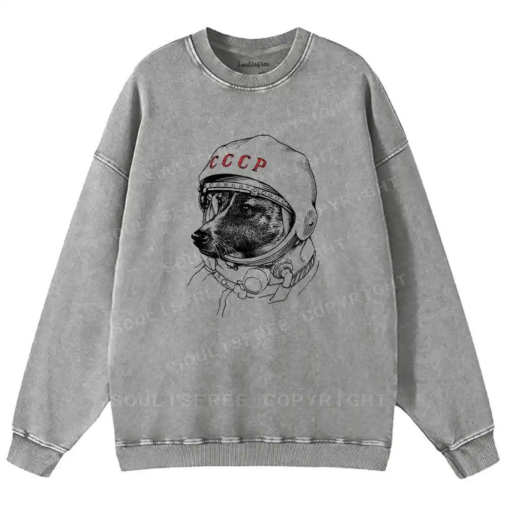 Astro Dog Washed Sweatshirts