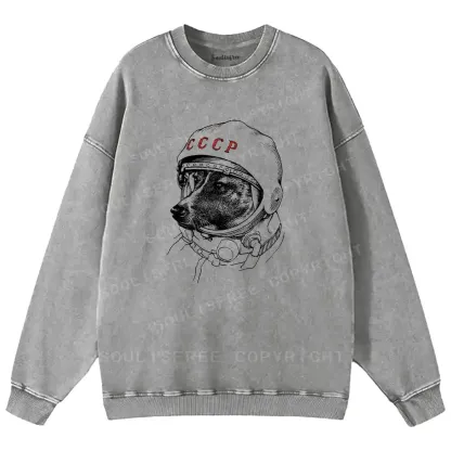 Astro Dog Washed Sweatshirts
