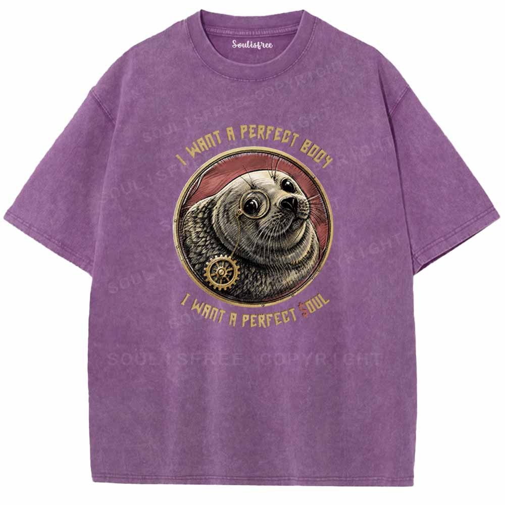 Soulisfree PERFECT BODY ,PERFECT SOUL Washed Tee