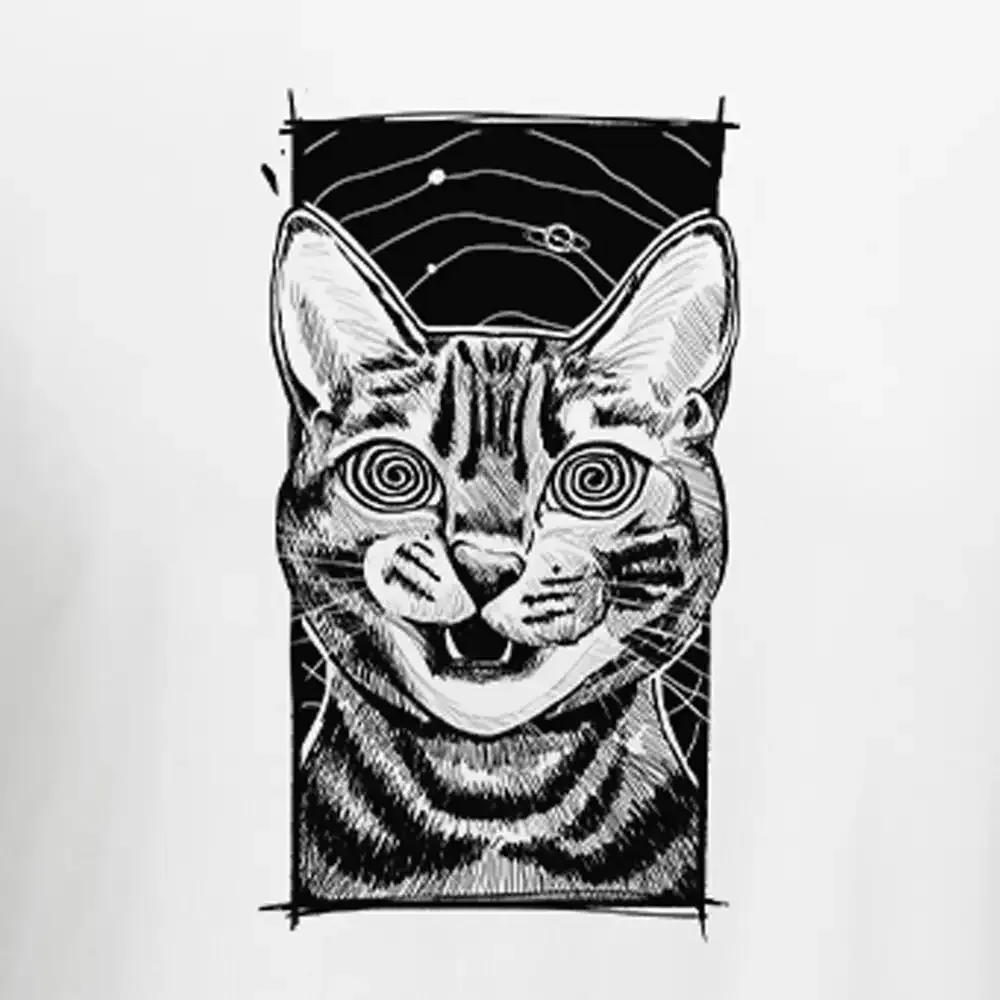 Hypnotic Cat Block Raglan Long Sleeve Crop Top