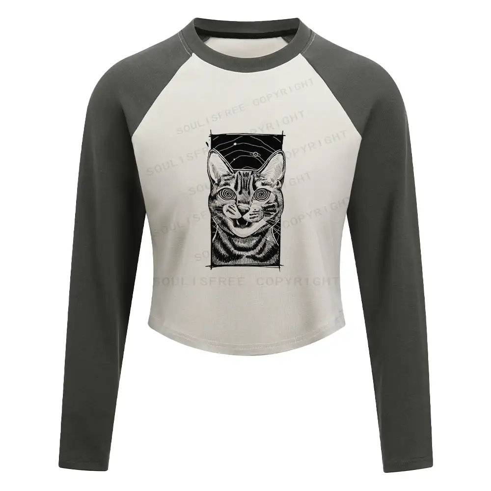 Hypnotic Cat Block Raglan Long Sleeve Crop Top
