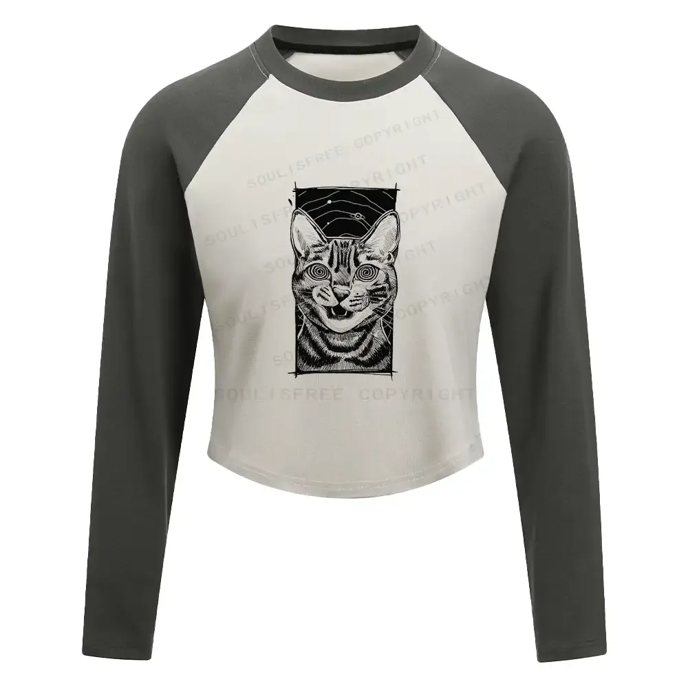 Hypnotic Cat Block Raglan Long Sleeve Crop Top