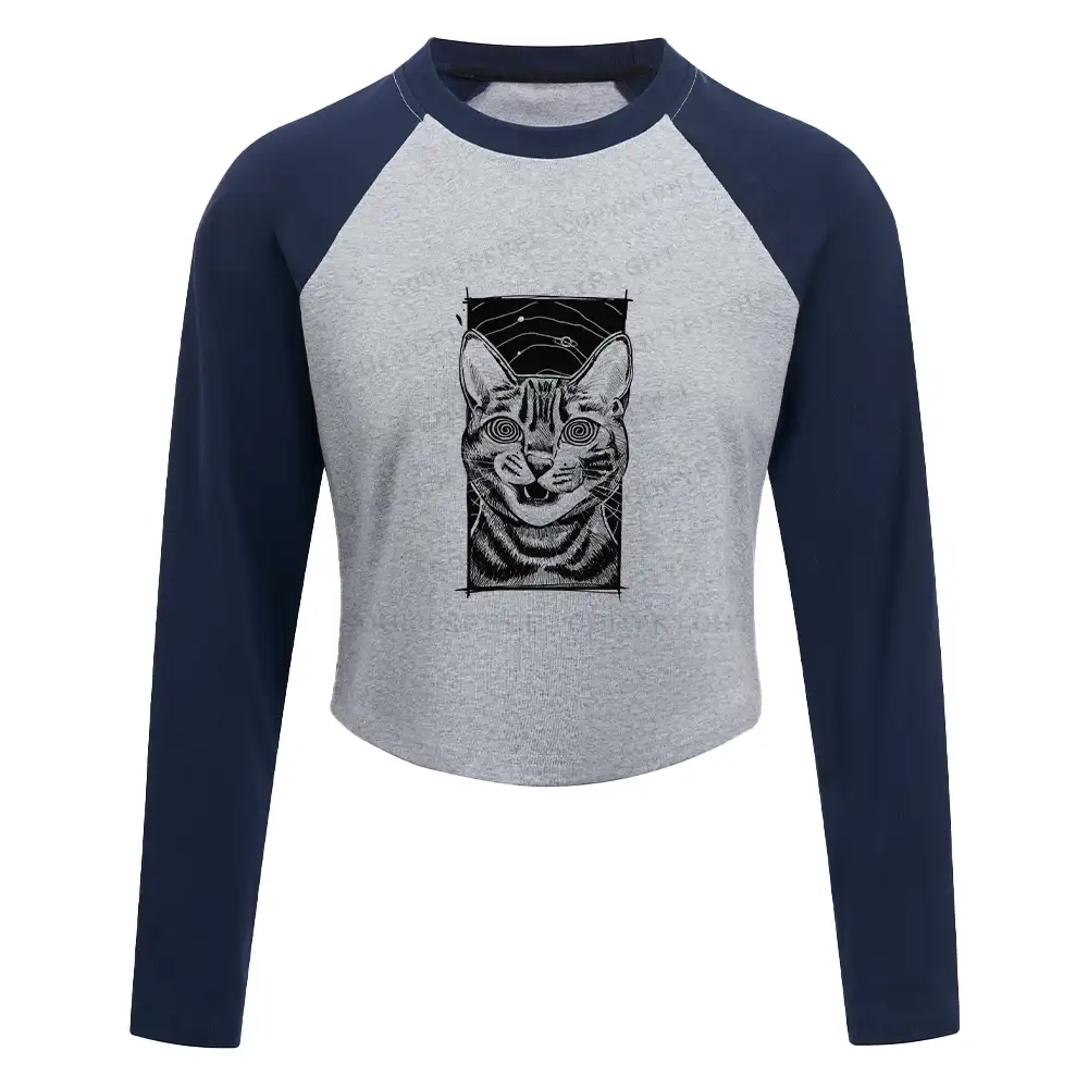 Hypnotic Cat Block Raglan Long Sleeve Crop Top