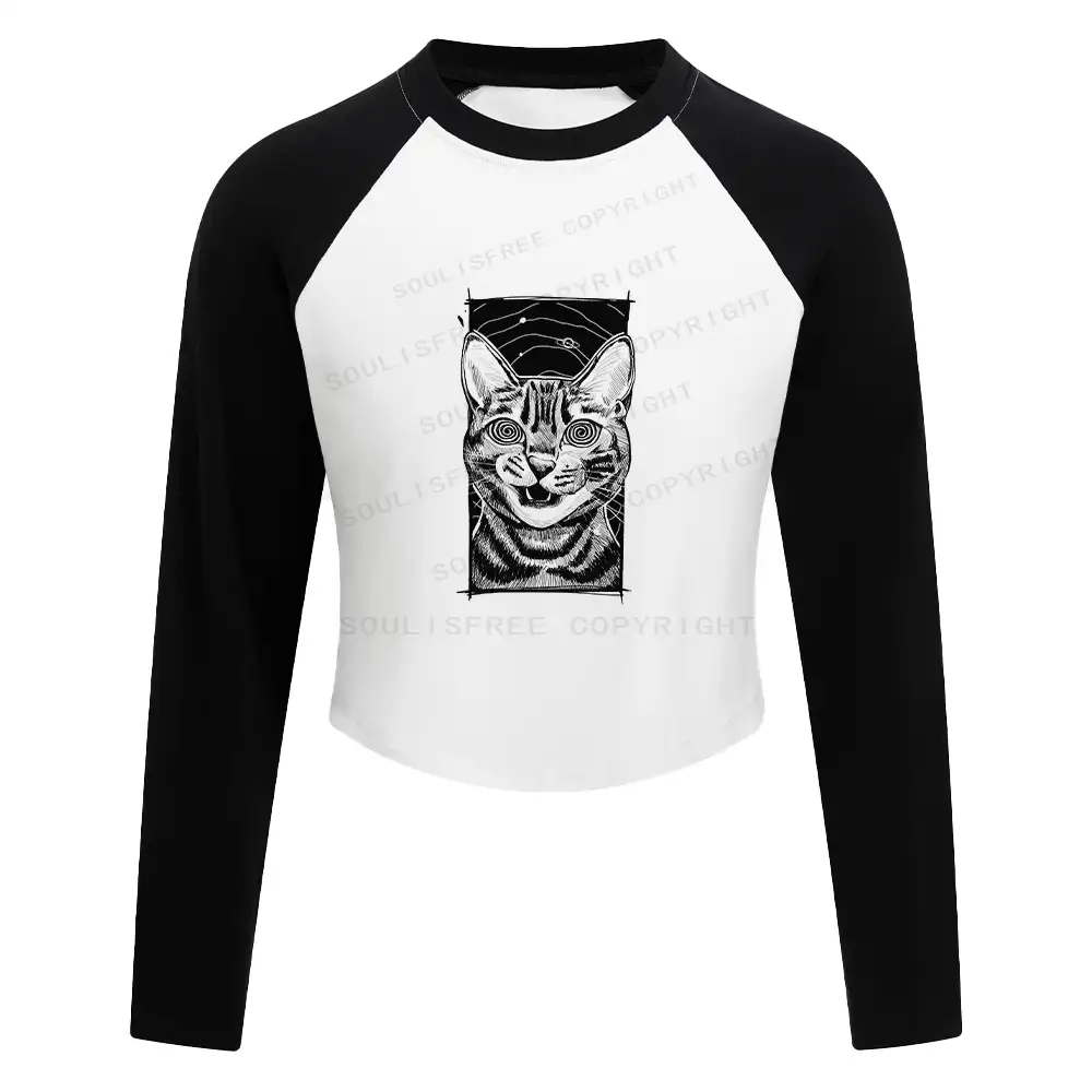 Hypnotic Cat Block Raglan Long Sleeve Crop Top