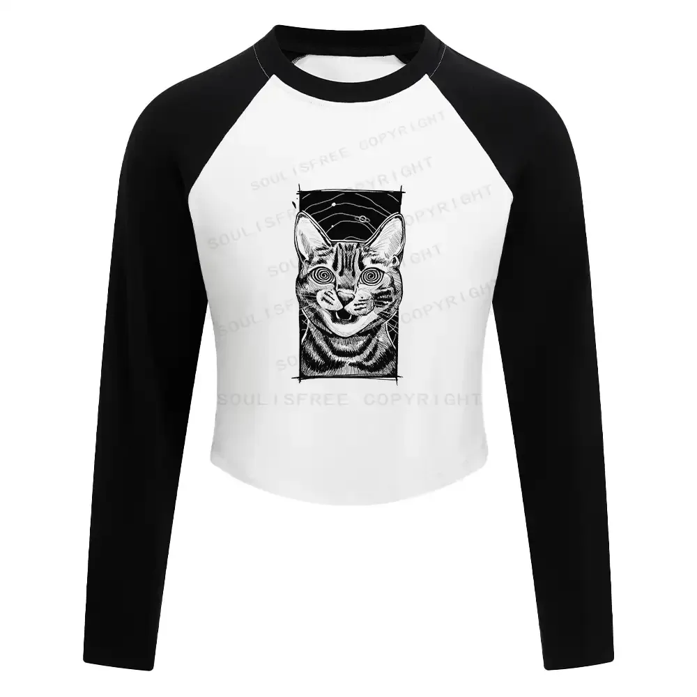 Hypnotic Cat Block Raglan Long Sleeve Crop Top