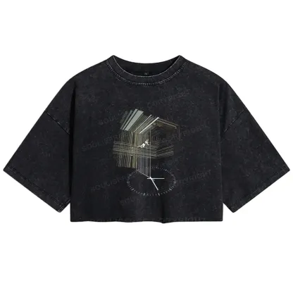 Secret Behind The Bookshelf Washed Crop T-shirt