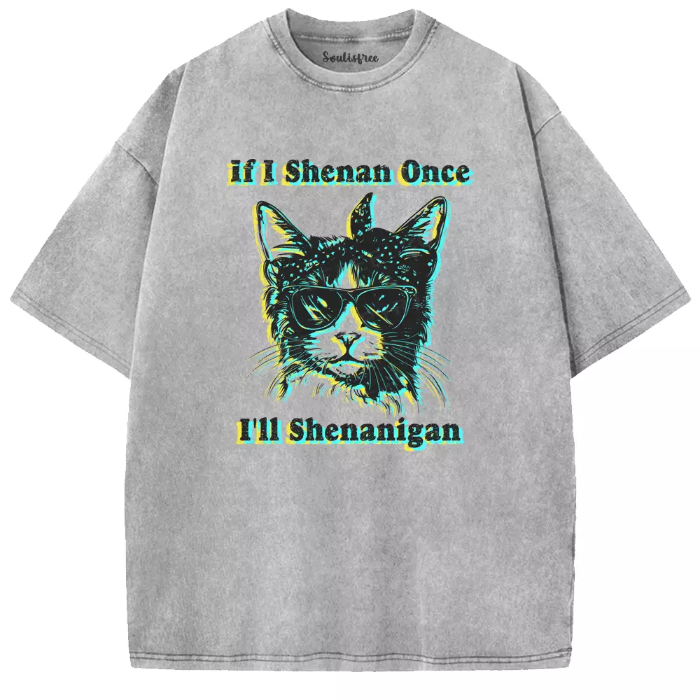 Soulisfree if I Shenan Once I'll Shenanigan Washed Tee