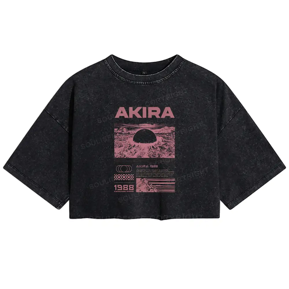 Destruction Washed Crop T-shirt