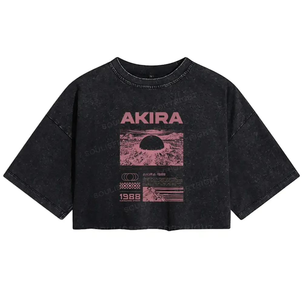 Designed Destruction Washed Crop T-shirt