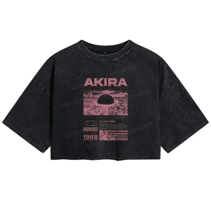 Destruction Washed Crop T-shirt