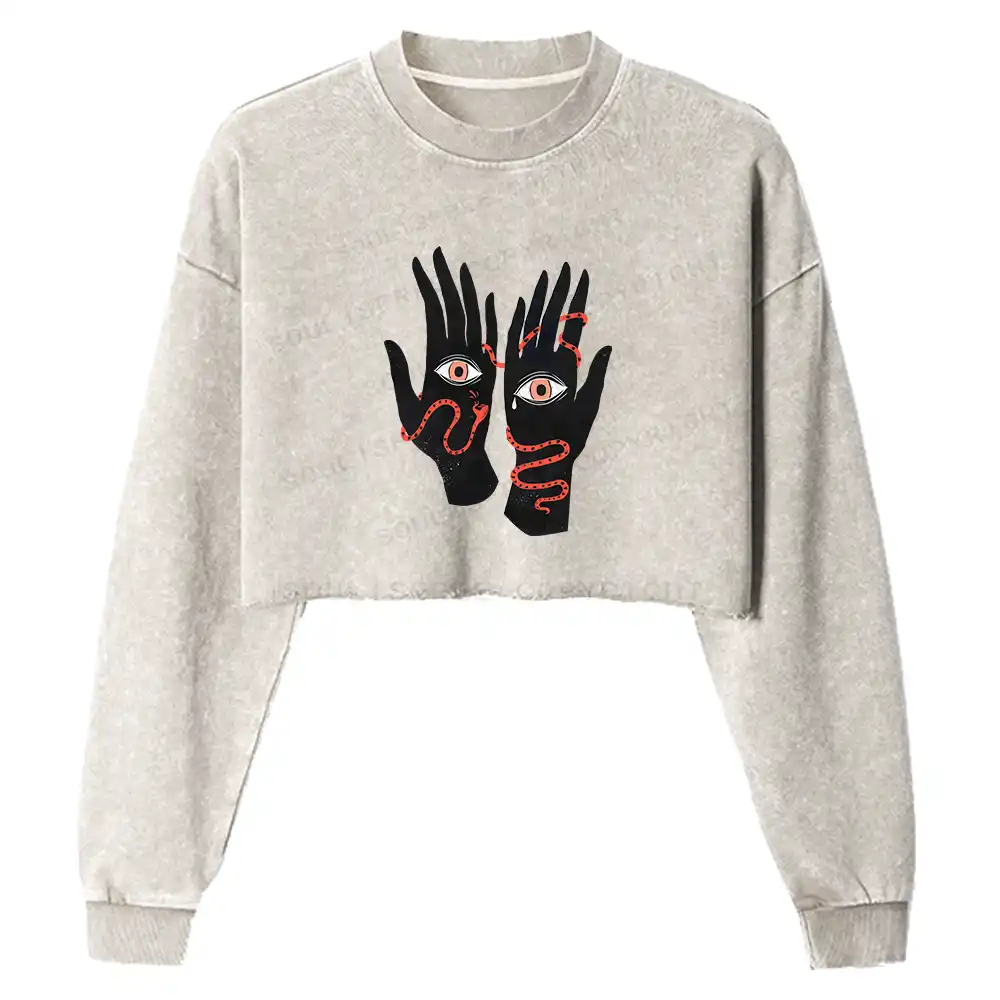 The Eyes Will Not Deceive You Washed Cropped Sweatshirt