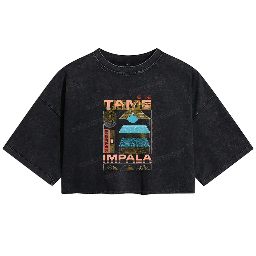 Thought Advancement Washed Crop T-shirt