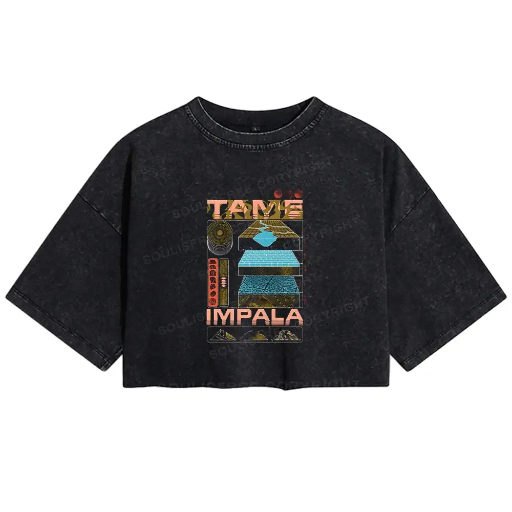 Designed Thought Advancement Washed Crop T-shirt