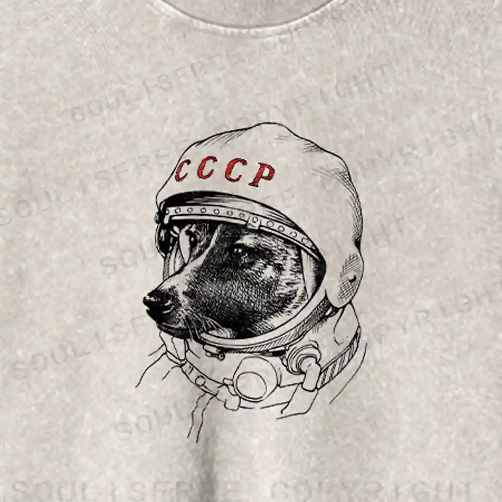 Astro Dog Washed Cropped Sweatshirt