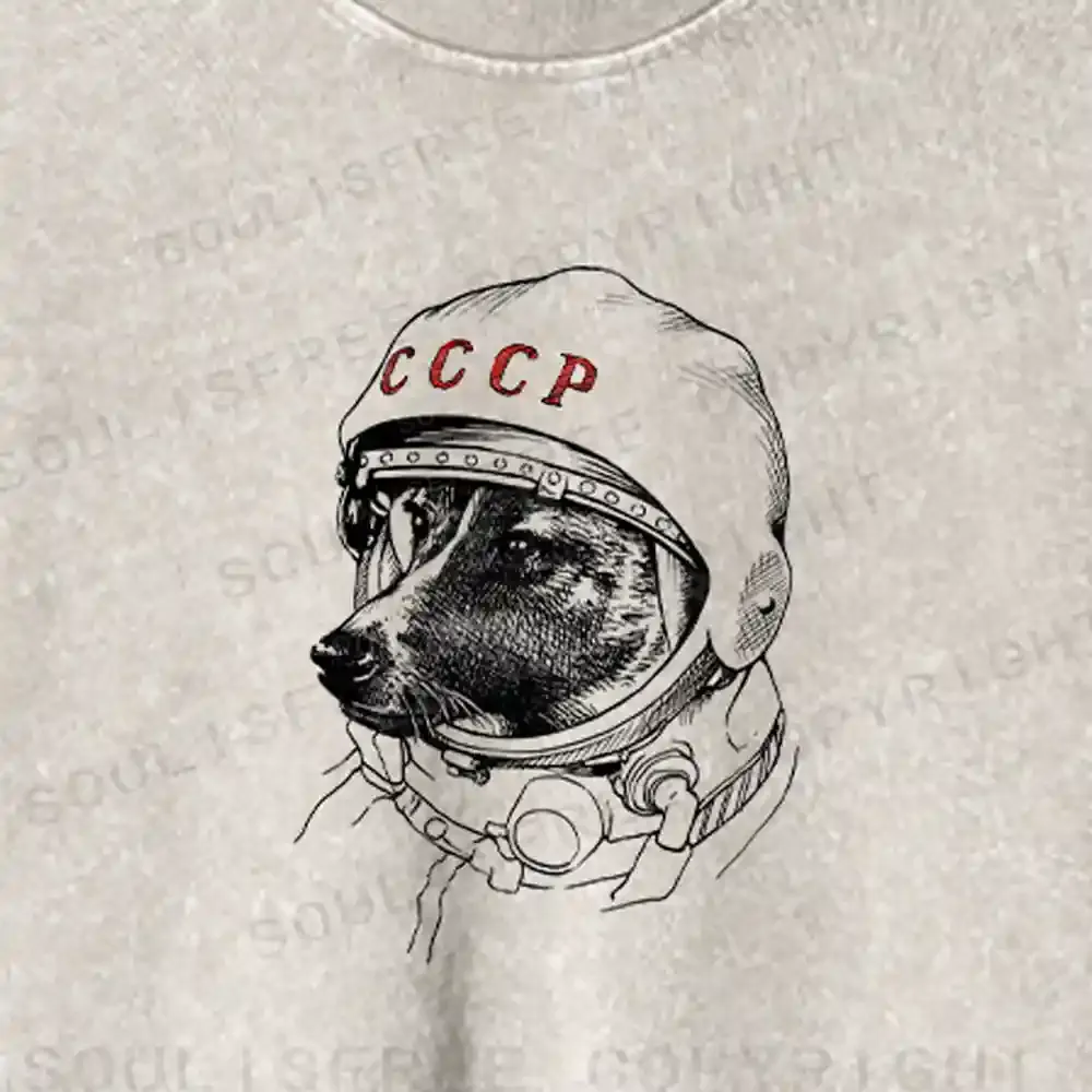 Astro Dog Washed Cropped Sweatshirt