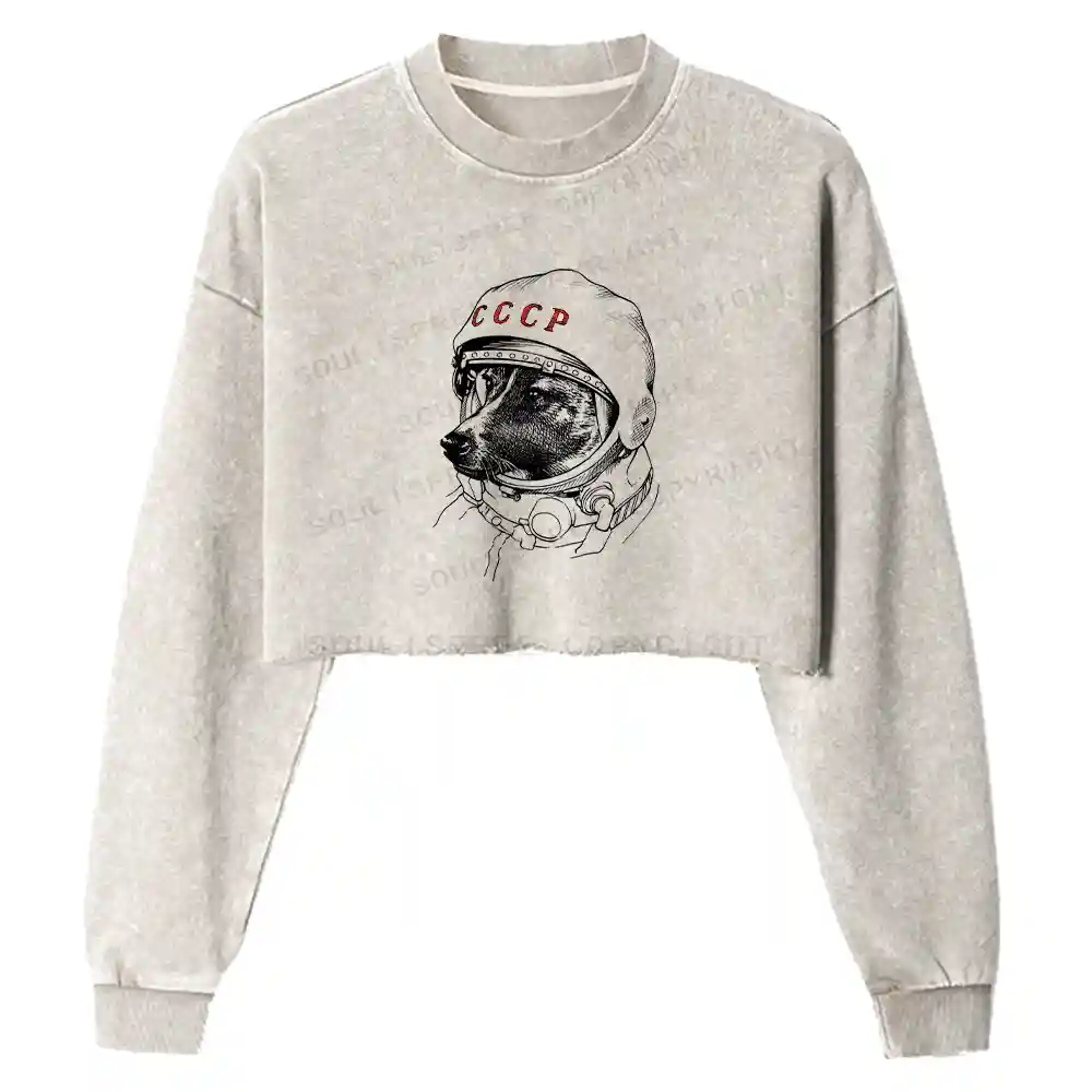 Astro Dog Washed Cropped Sweatshirt