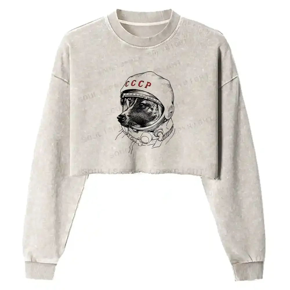 Astro Dog Washed Cropped Sweatshirt