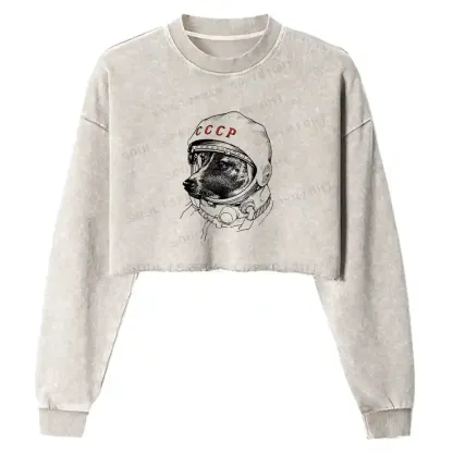 Astro Dog Washed Cropped Sweatshirt