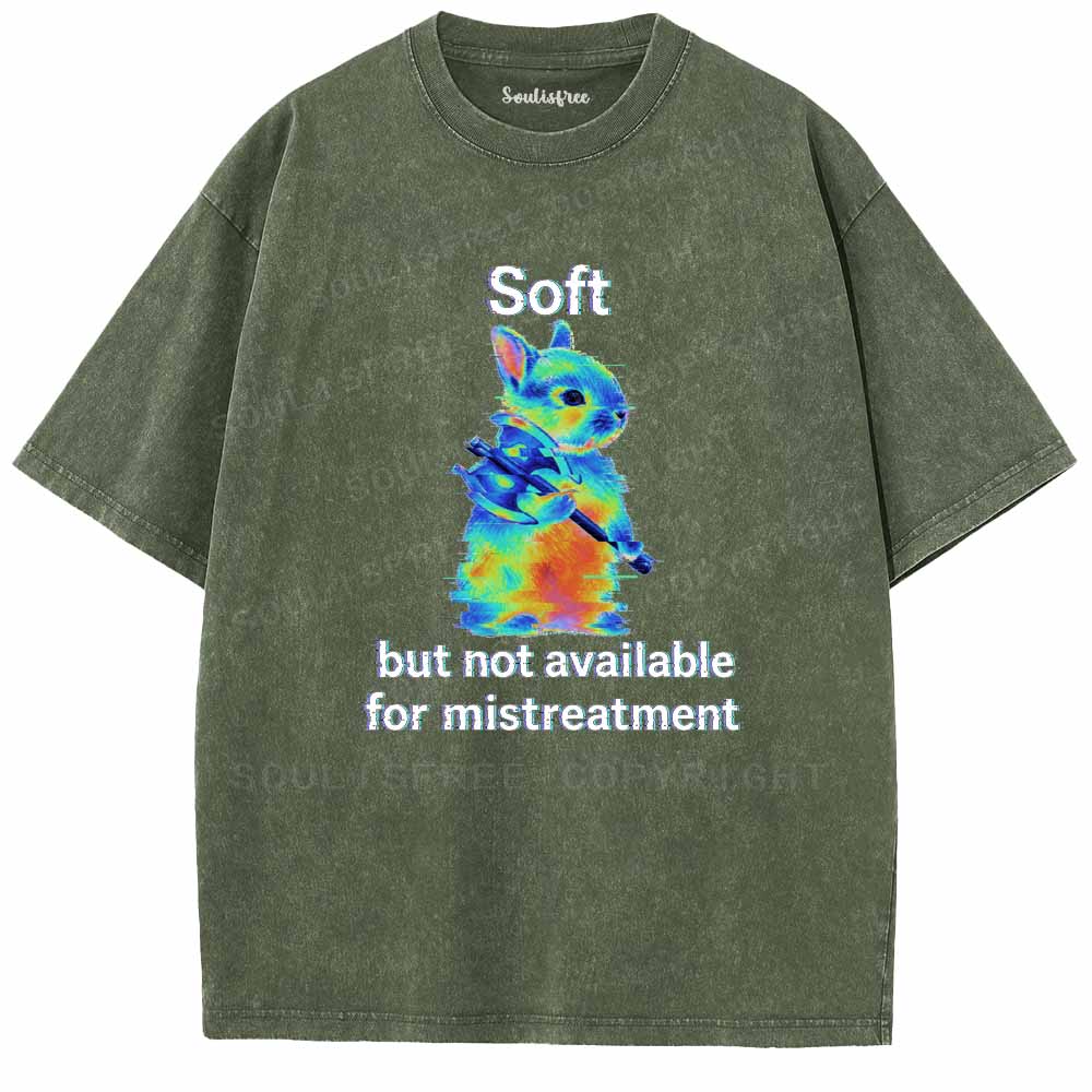 Soulisfree  Soft But Not Available For Mistreatment Washed Tee