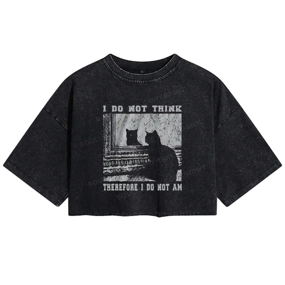 The Road Not Chosen Washed Crop T-shirt