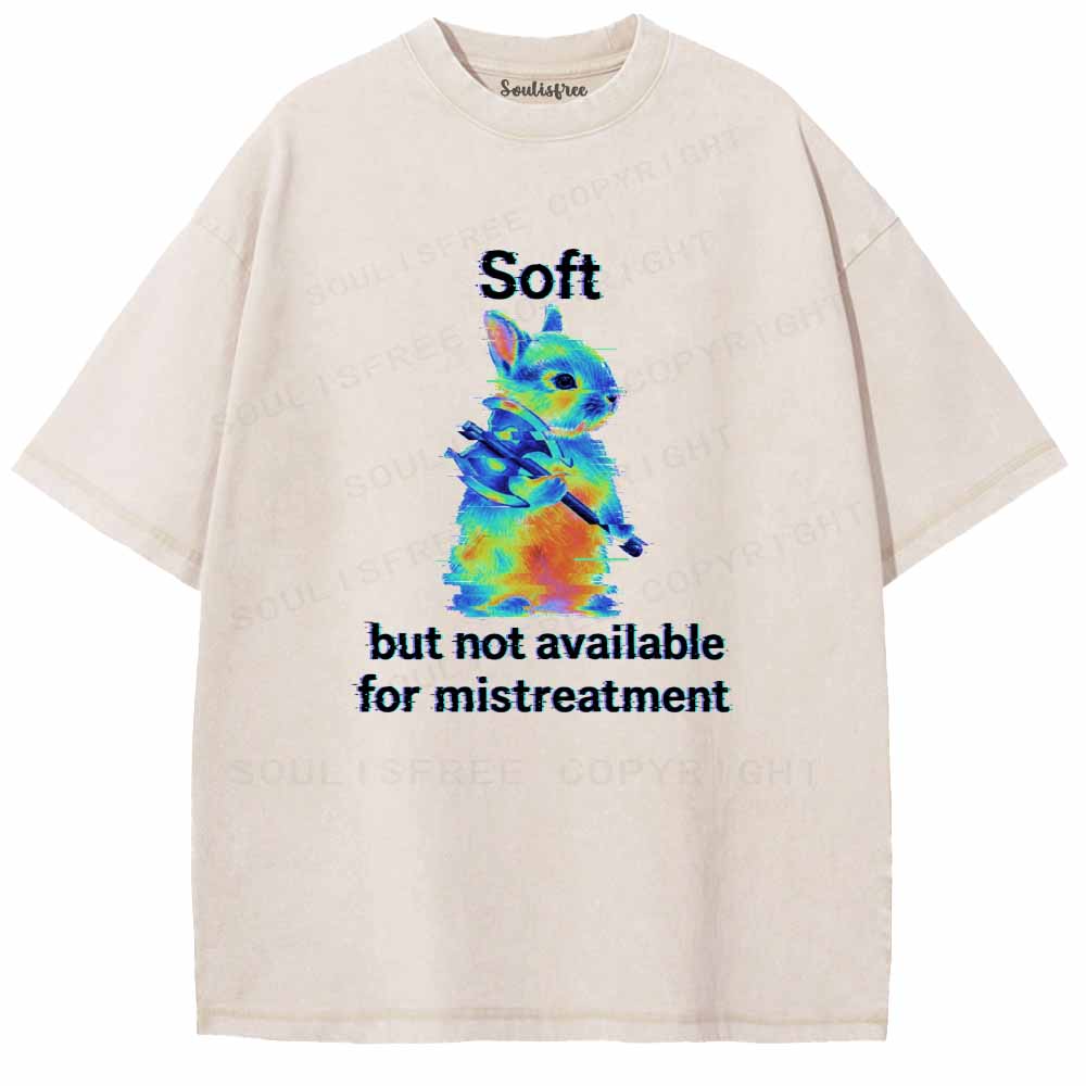 Soulisfree  Soft But Not Available For Mistreatment Washed Tee