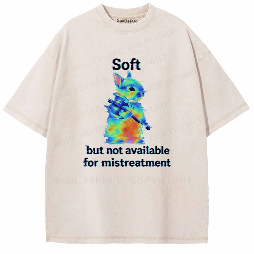 Soulisfree Soft But Not Available For Mistreatment Washed Tee