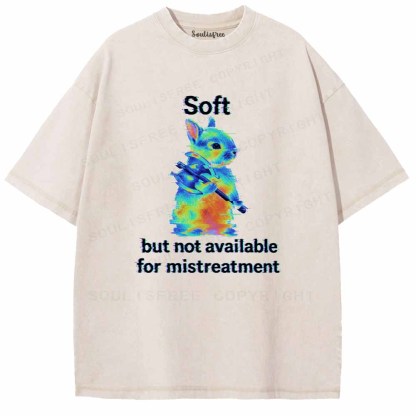 Soulisfree  Soft But Not Available For Mistreatment Washed Tee