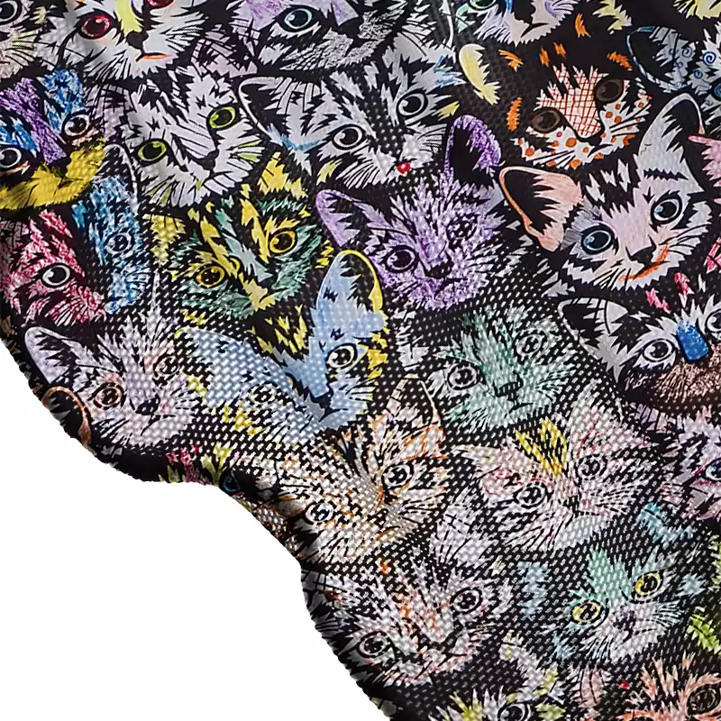 Soulisfree  Rainbow Cat Crowd Sheer Mesh Cover Up