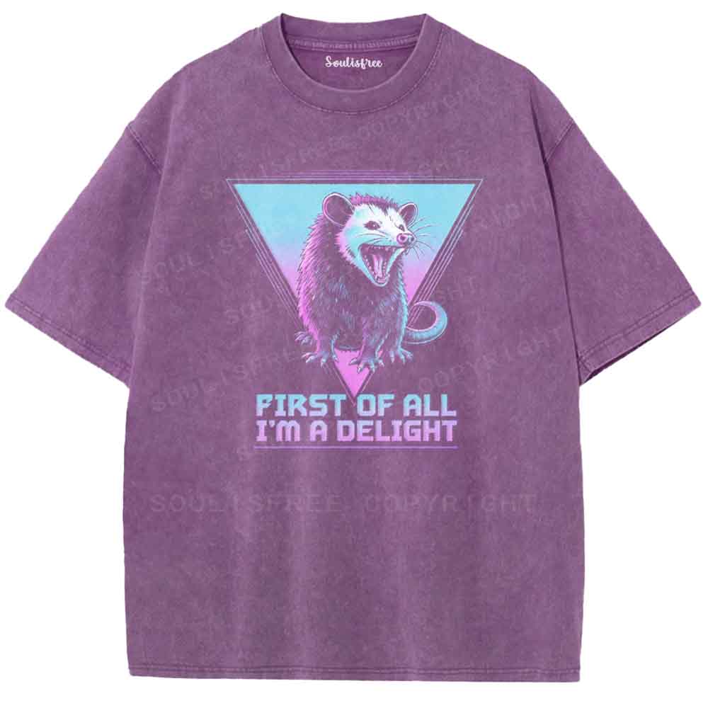 Soulisfree FIRST OF ALL I'M A DELIGHT  Washed Tee
