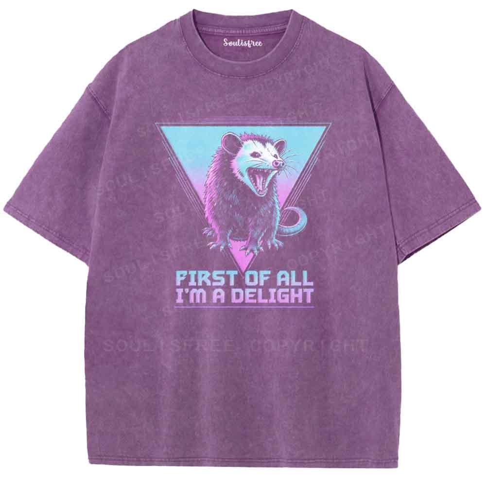 Soulisfree FIRST OF ALL I'M A DELIGHT  Washed Tee