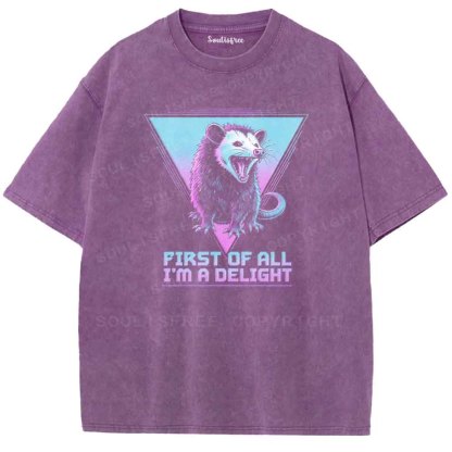Soulisfree FIRST OF ALL I'M A DELIGHT  Washed Tee