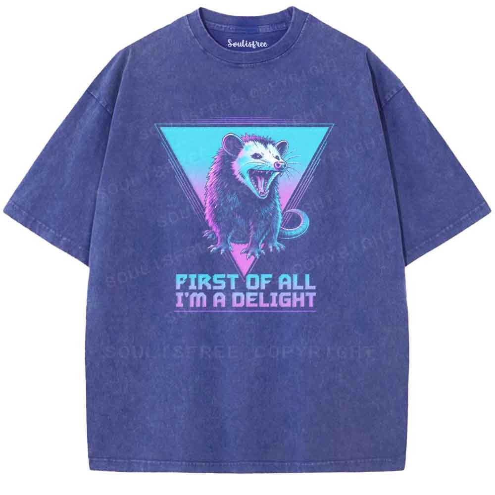 Soulisfree FIRST OF ALL I'M A DELIGHT  Washed Tee