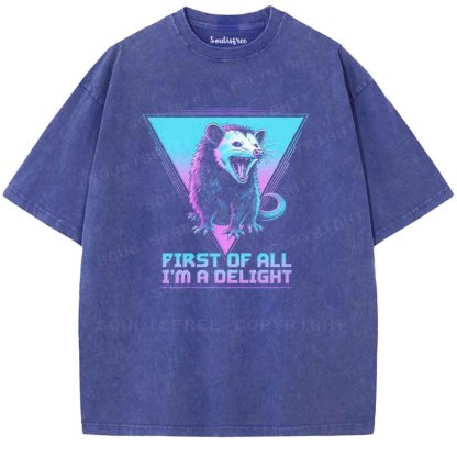 Soulisfree FIRST OF ALL I'M A DELIGHT  Washed Tee