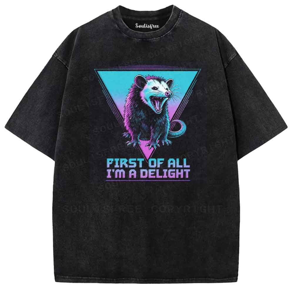 Soulisfree FIRST OF ALL I'M A DELIGHT Washed Tee