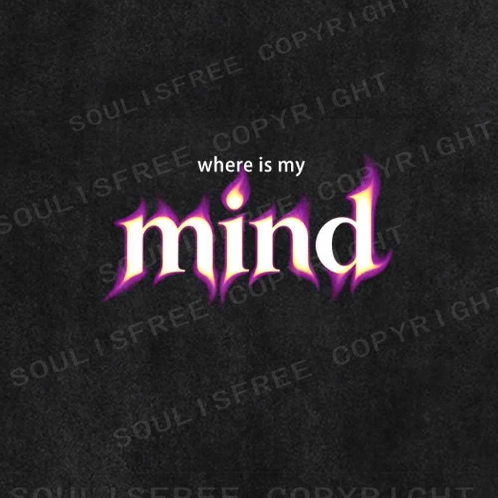 Soulisfree Where Is My Mind Washed Tee