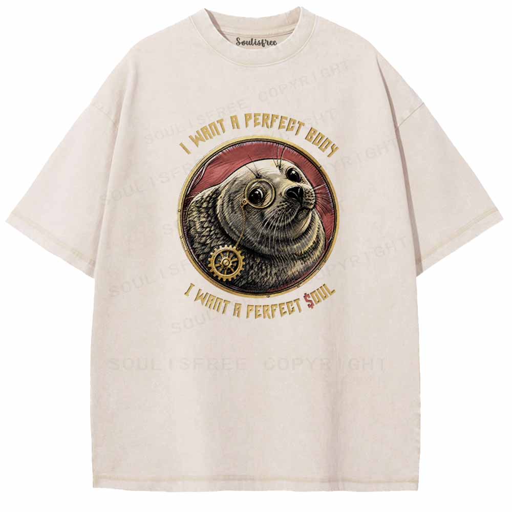 Soulisfree PERFECT BODY ,PERFECT SOUL Washed Tee
