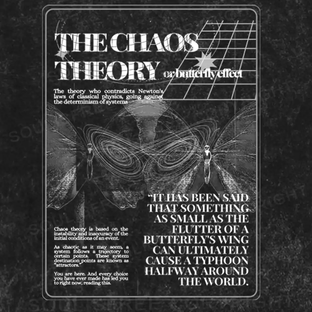 The Chaos Theory or Butterfly Effect Washed T-shirt