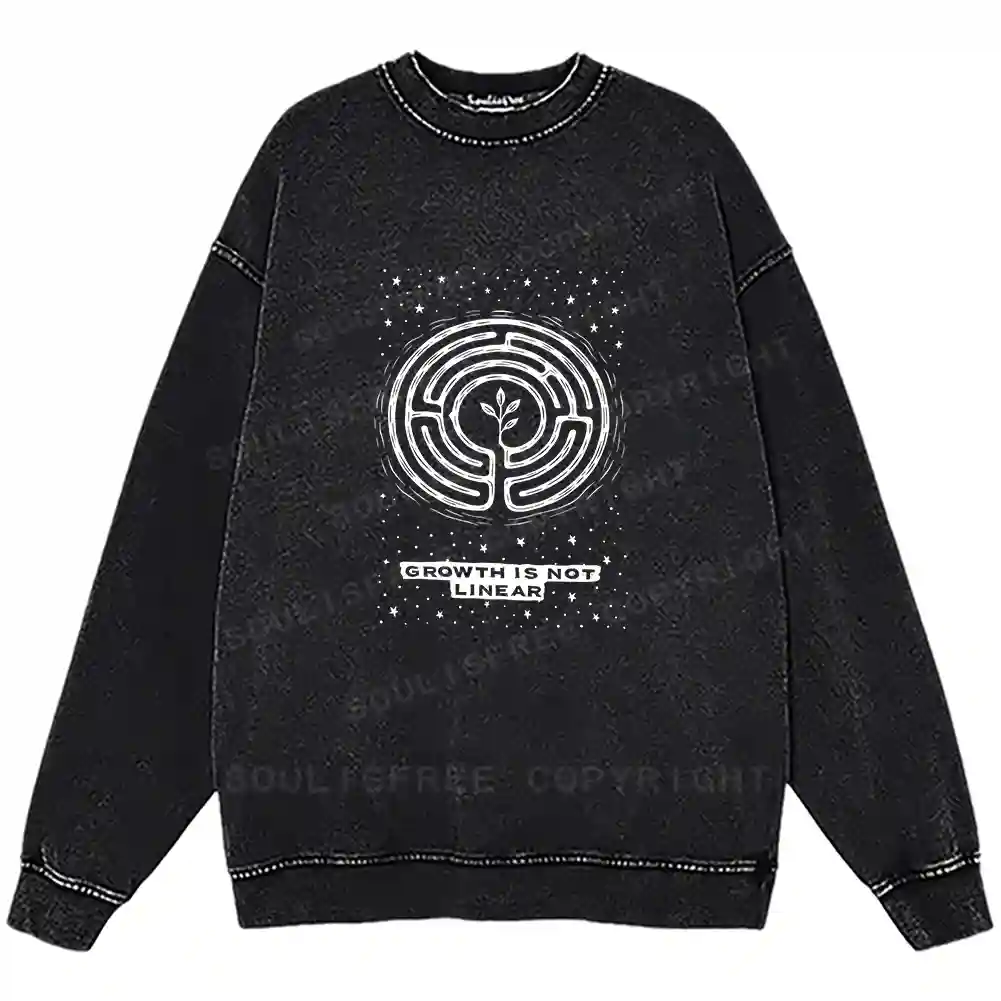 Growth Is Not Linear Washed Sweatshirts