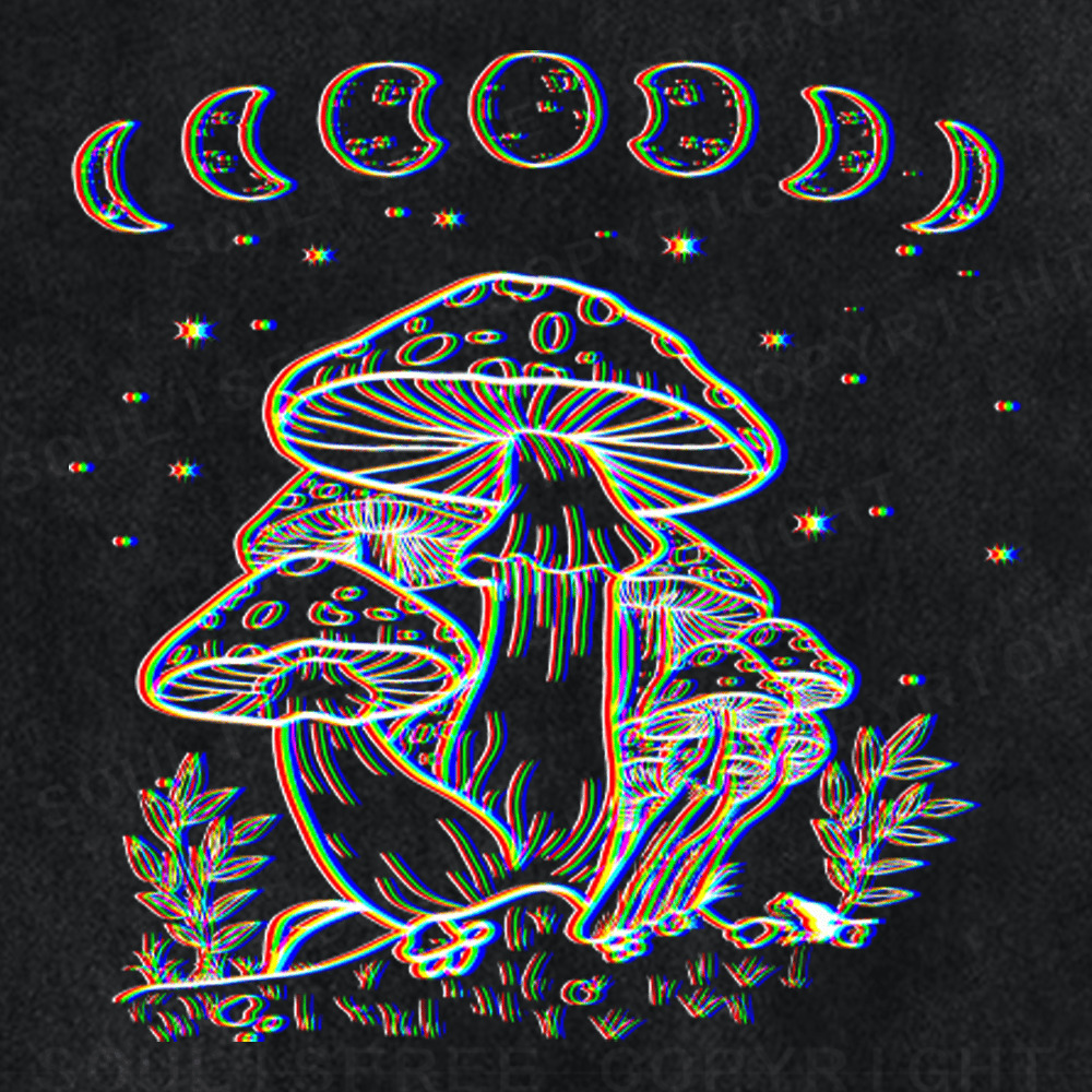 Soulisfree Mushroom and Moon Optic Lines Illusion Washed Tee
