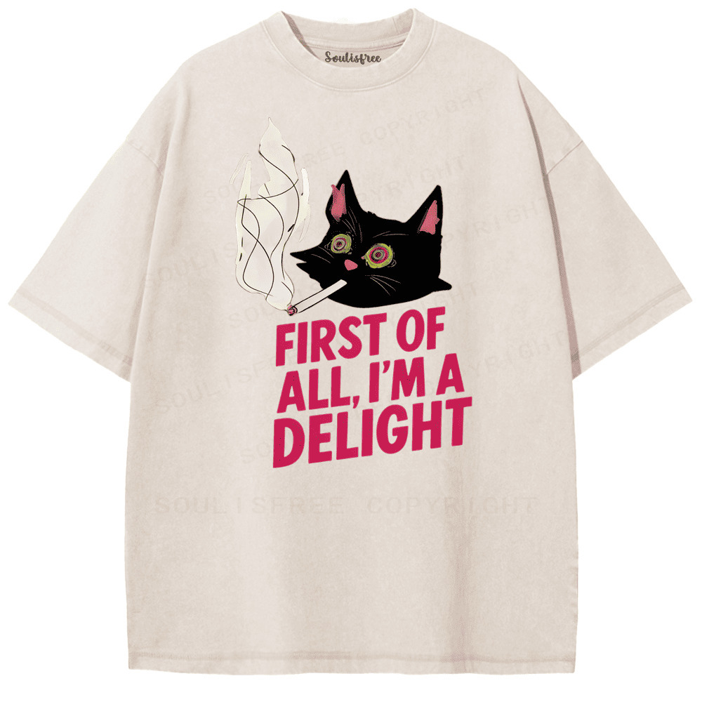 Soulisfree Chill Cat Mood Graphic Artistic Washed Tee