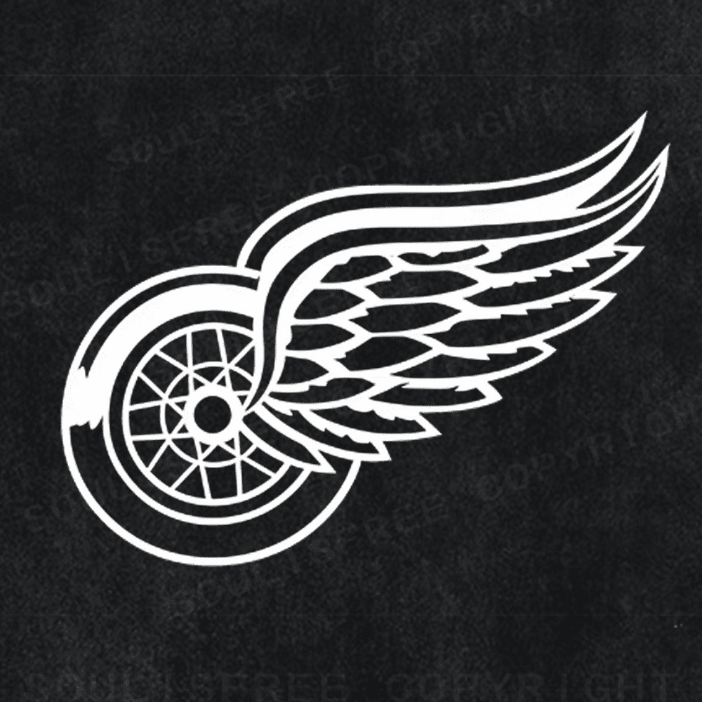 Soulisfree World Cup Spirit: Winged Triumph Artistic Washed Tee