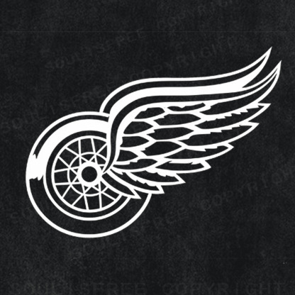 Soulisfree World Cup Spirit: Winged Triumph Artistic Washed Tee